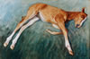 Sleeping Foal - 1996 Watercolour - 74 cm x 54 cm