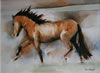 Wild Pony - 1996 Line and Wash - 38 cm x 28 cm