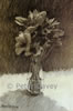 Anemones - 2004  Numbered Lithograph from an original pencil drawing - 418 mm  x 280 mm  - <strong>£20 / 24 euros + p and p</strong> 