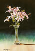 The Tall Vase - 2004  Numbered Lithograph from an original watercolour - 266 mm  x 184 mm  - <strong>£15 / 18 euros + p and p</strong> 