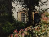 Garden, Dorking, Surrey, England - 1993 Watercolour - 50 cm x 34 cm