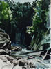 Fairy Glen Ravine, Snowdonia, Wales - 1998 Watercolour - 38 cm x 28 cm