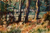 Chesham Woods, Bury, England - 1989 Watercolour - 55 cm x 37 cm