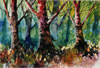 Dancing Trees - 1999 Watercolour - 38 cm x 28 cm
