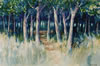 Entrance to the Wood, Charente, France - 1999 Watercolour - 50 cm x 35 cm 