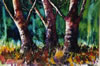 Three Trees, Pink - 1999 Watercolour - 27 cm x 18 cm